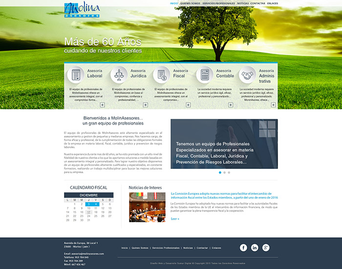Diseño Web - Molina Asesores - Sumur Digital (1)