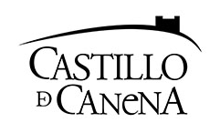 Webs que captan clientes con IA Castillo de Canena