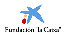 Webs que captan clientes con IA Fundación La Caixa